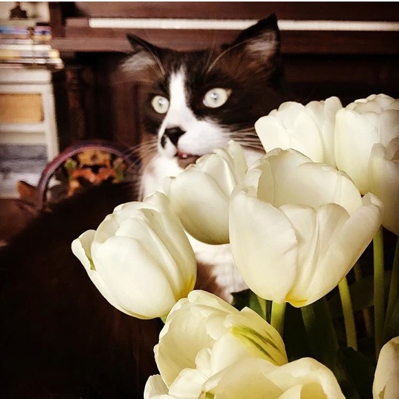 Meet your Posher, Cristina - Picture 15 of 16